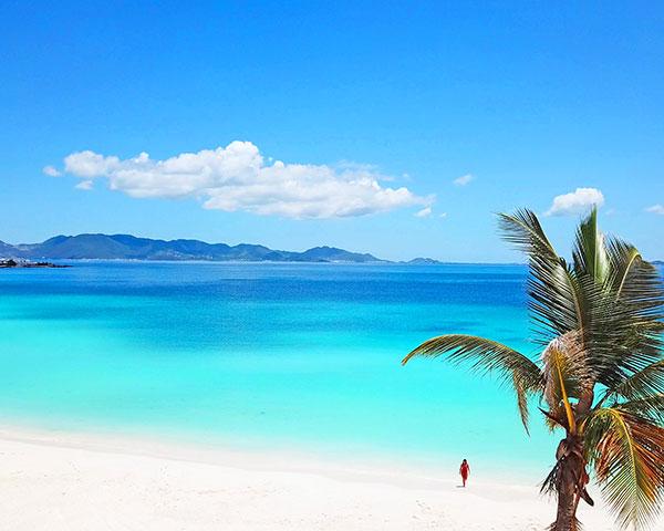 Anguilla detail