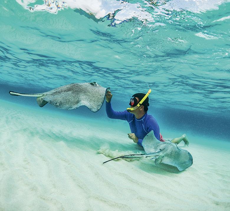 Saint Martin / Sint Maarten 3