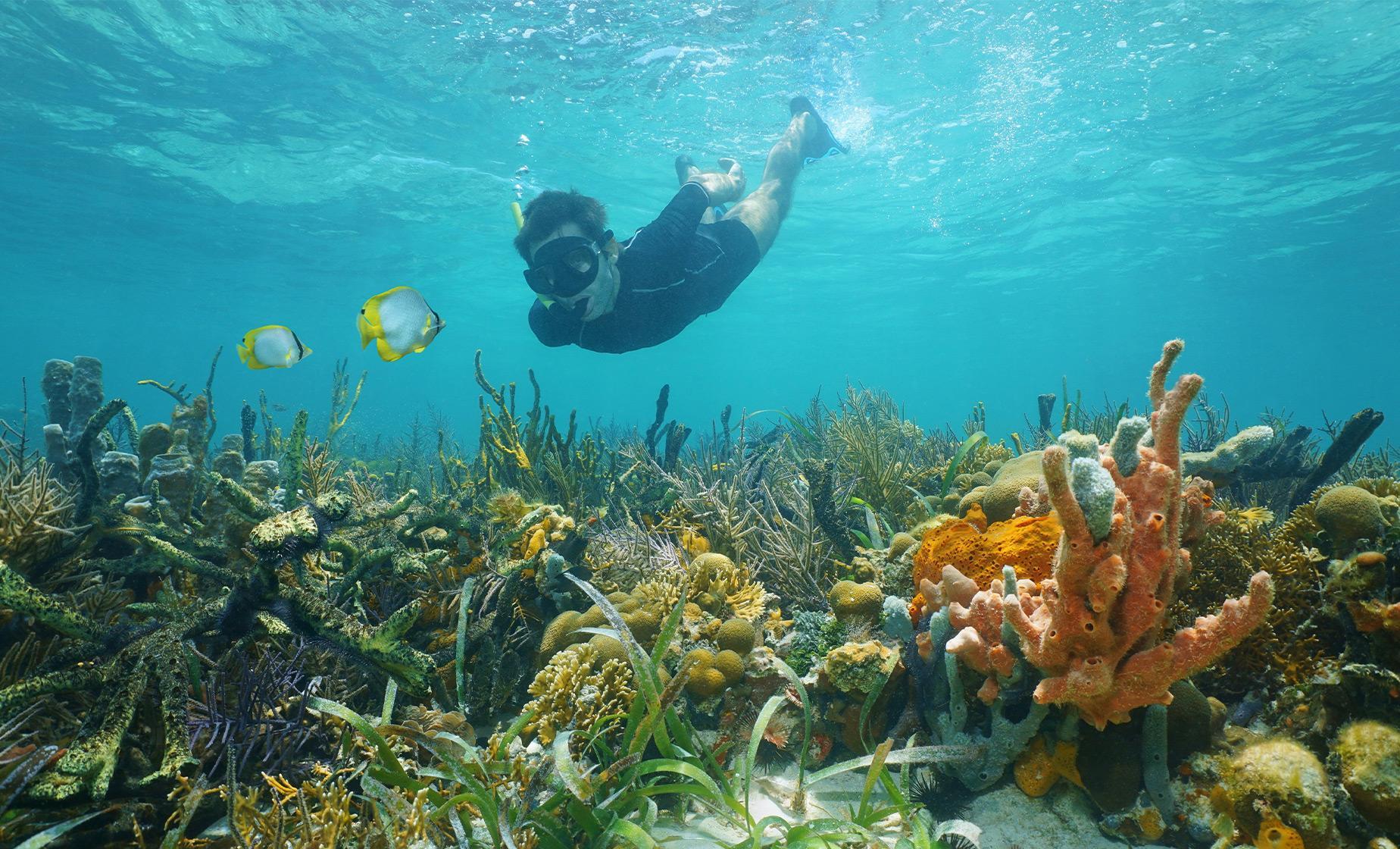 Saint-Martin / Sint Maarten 6