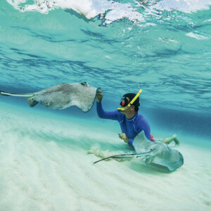 how to get sandy island boat