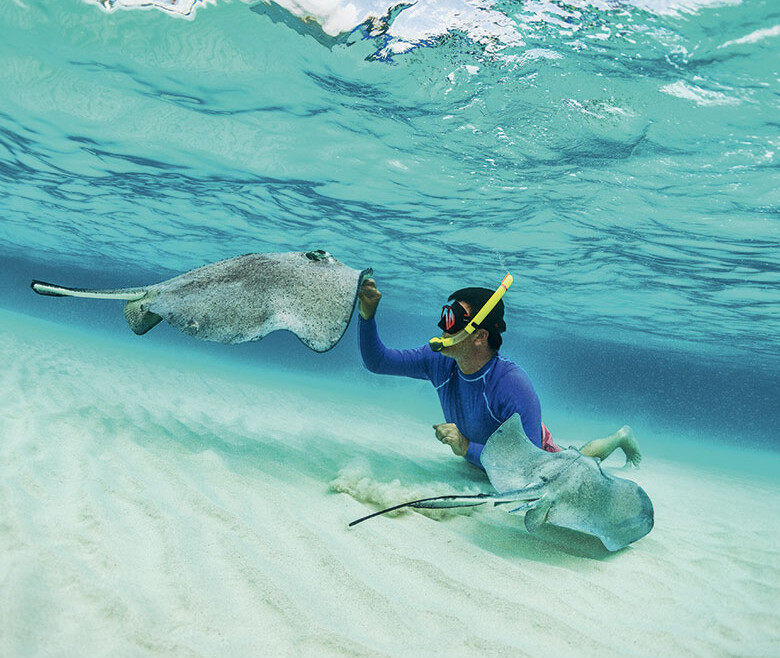 how to get sandy island boat